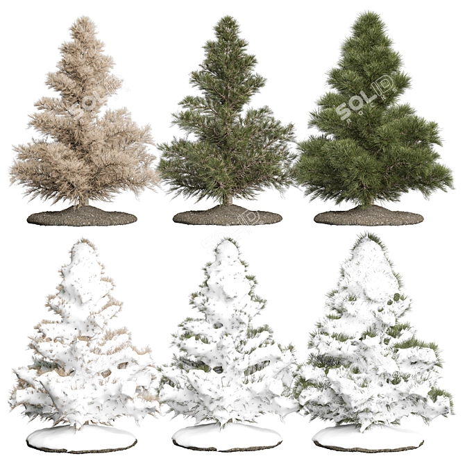 Seasonal Pine Tree 3D Models 3D model image 2