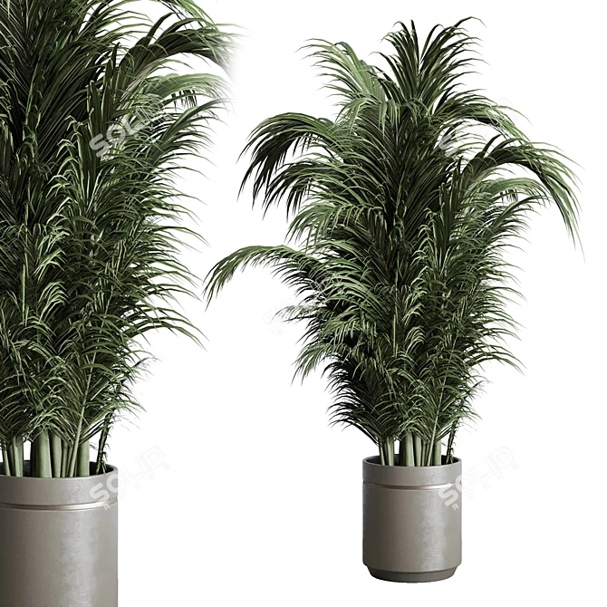 Concrete Palm Indoor Plant Vase 3D model image 1