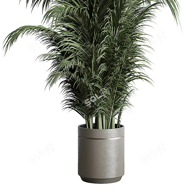 Concrete Palm Indoor Plant Vase 3D model image 2