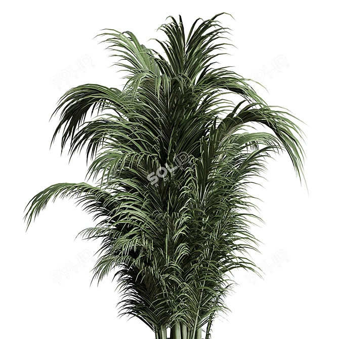 Concrete Palm Indoor Plant Vase 3D model image 3