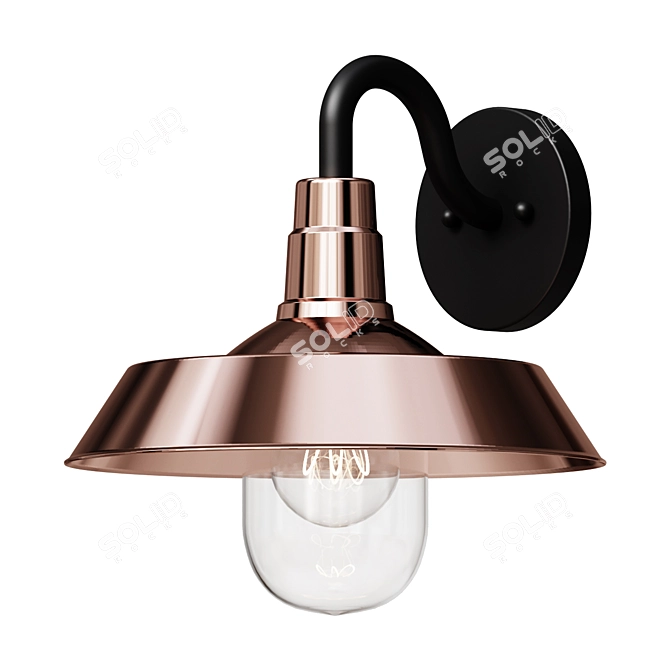 Copper Shallow Plate Wall Light 3D model image 1