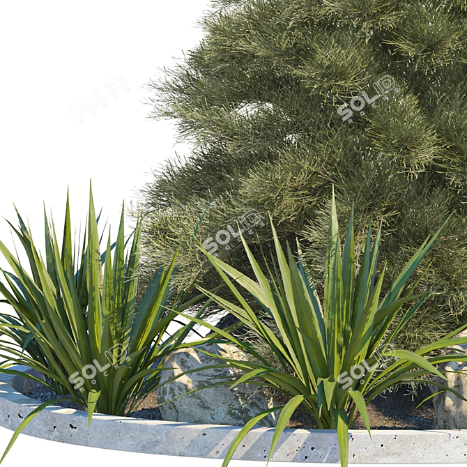 2015 Outdoor Plant 3D Model 3D model image 2