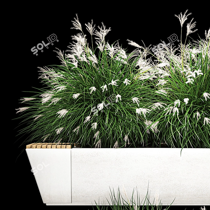 Urban Concrete Bench with Ornamental Grasses 3D model image 2