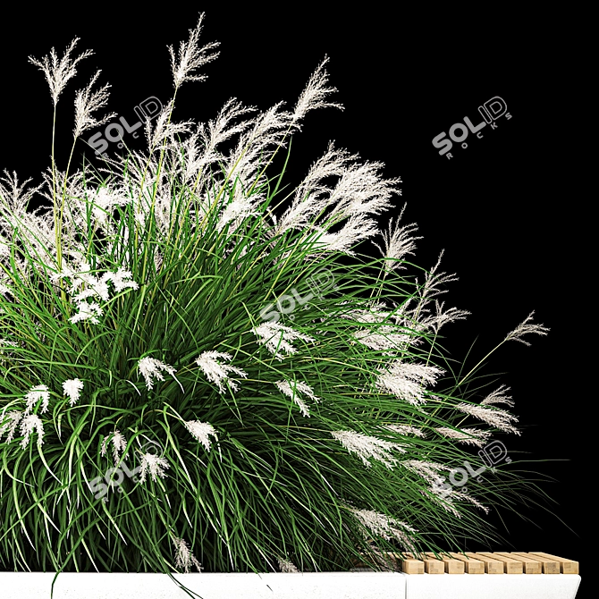 Urban Concrete Bench with Ornamental Grasses 3D model image 5