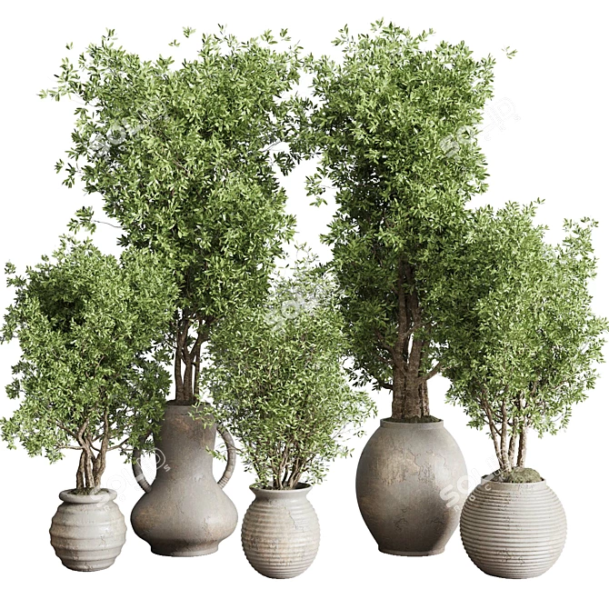 Old Earthenware Vase Olive Tree 3D model image 1