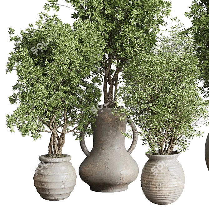 Old Earthenware Vase Olive Tree 3D model image 3