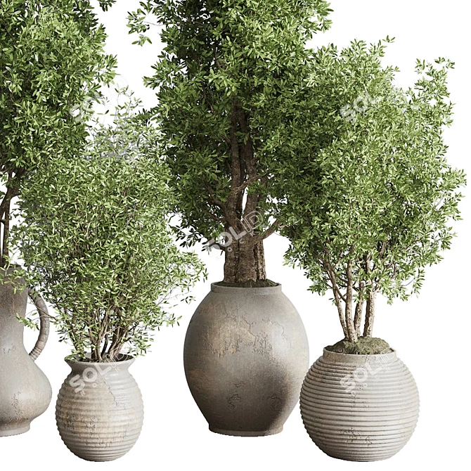 Old Earthenware Vase Olive Tree 3D model image 5