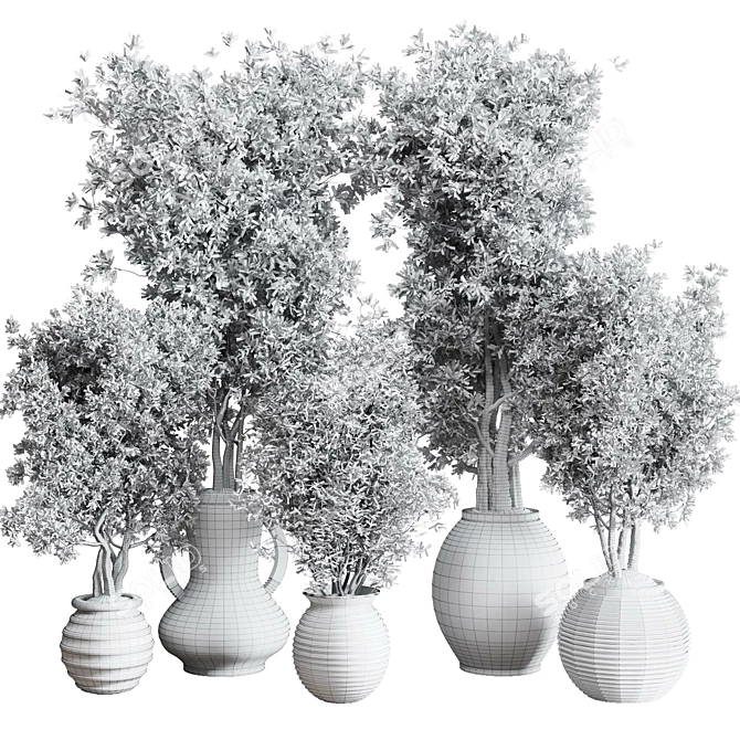 Old Earthenware Vase Olive Tree 3D model image 6