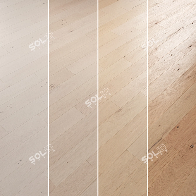 Oak Parquet Flooring Collection 3D model image 2