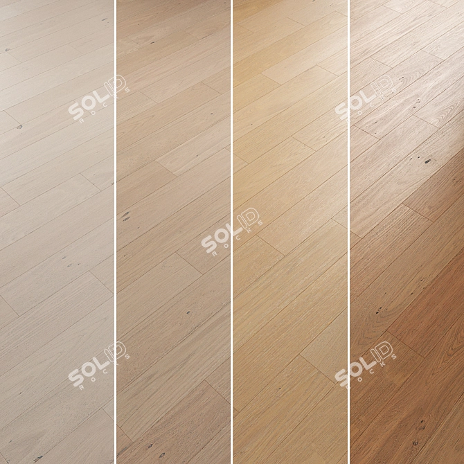 Oak Parquet Flooring Collection 3D model image 2