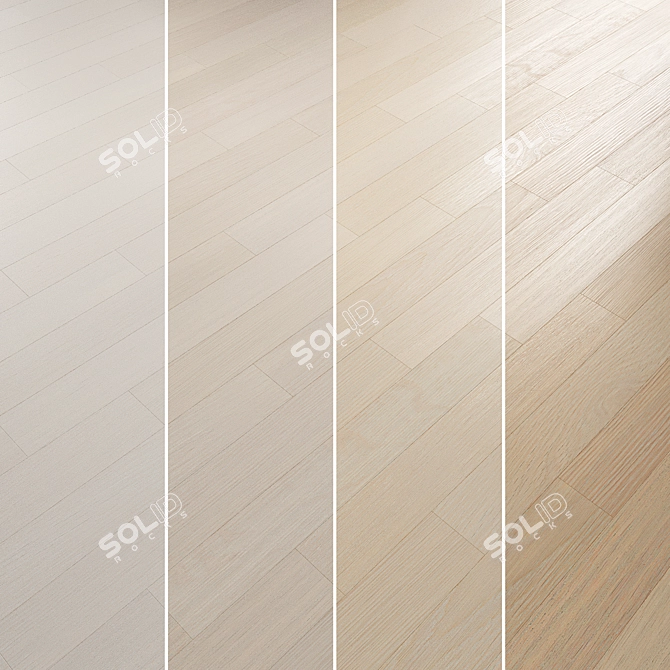 Oak Parquet Flooring Collection 3D model image 2