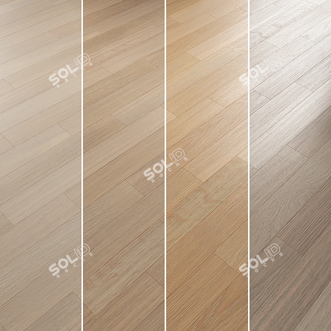 Oak Parquet Flooring Collection 3D model image 3