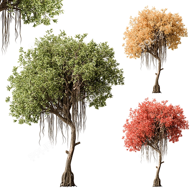 Japanese Garden Trees Collection. 3D model image 1