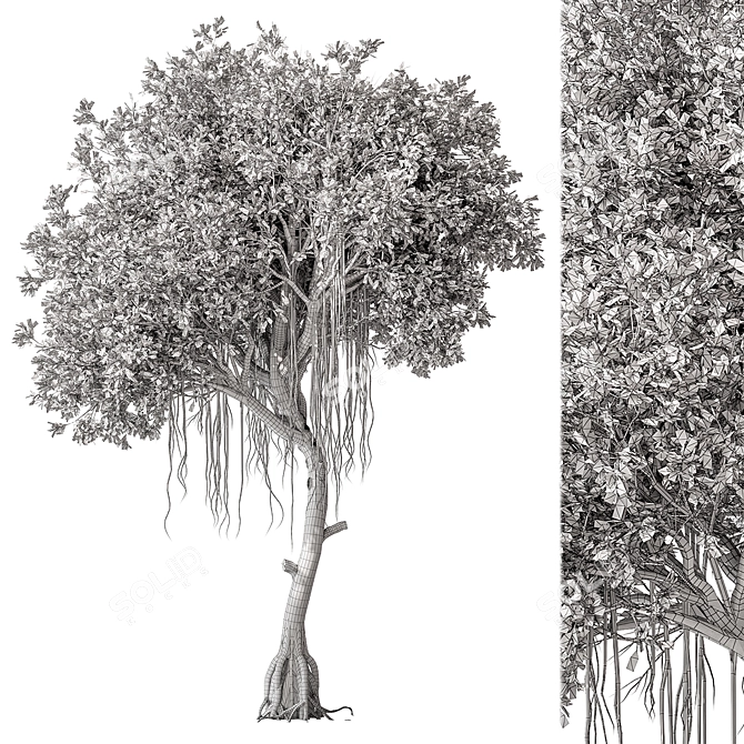 Japanese Garden Trees Collection. 3D model image 5