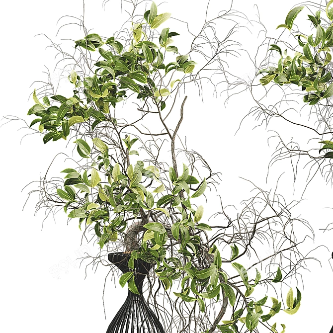 Greenery Paradise Set 24 3D model image 3