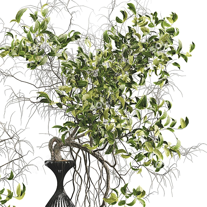 Greenery Paradise Set 24 3D model image 5