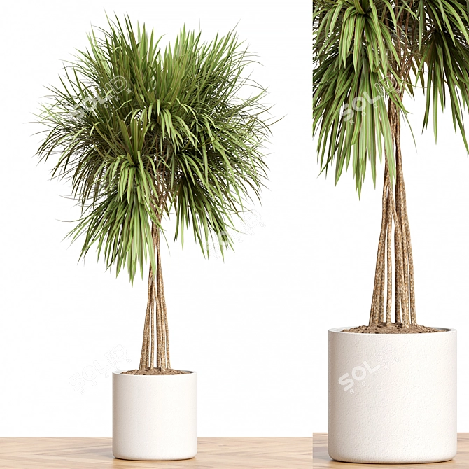 Modern Plant Collection 3D Models 3D model image 1