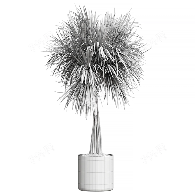 Modern Plant Collection 3D Models 3D model image 2