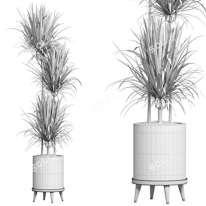 Corona Plant Collection 3D Models 3D model image 2