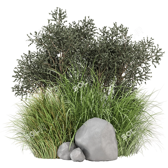 Outdoor Bush Plants Set 618 3D model image 1