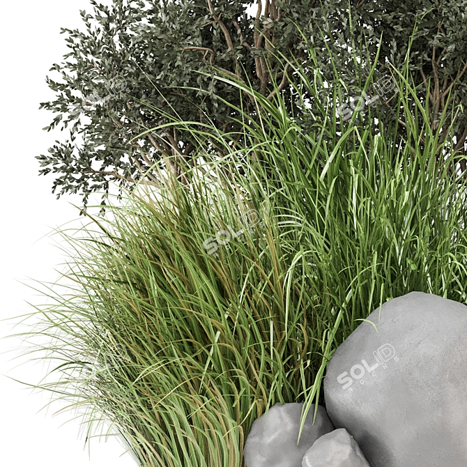 Outdoor Bush Plants Set 618 3D model image 2