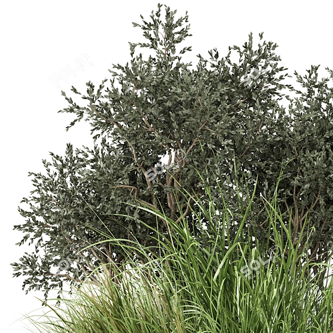 Outdoor Bush Plants Set 618 3D model image 4