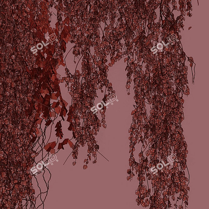 Quality Hedera Outdoor Plant Model 3D model image 7