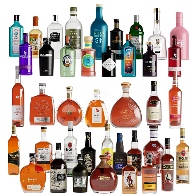 Variety Alcoholic Bottles 40: Gin, Rum, Cognac 3D model image 1