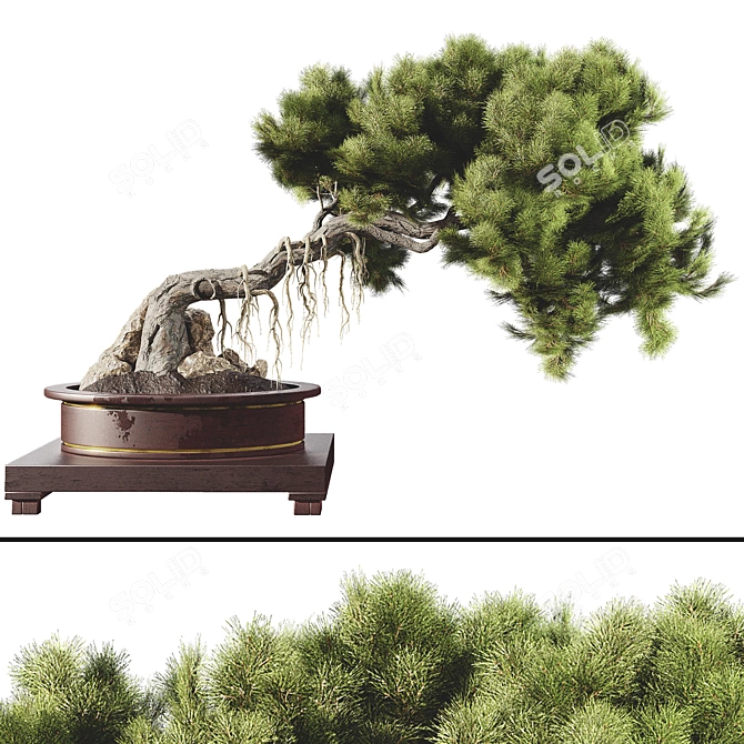 Bonsai Tree 58 Model Kit 3D model image 1