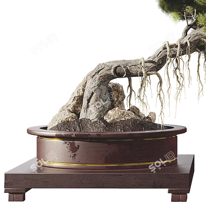 Bonsai Tree 58 Model Kit 3D model image 2