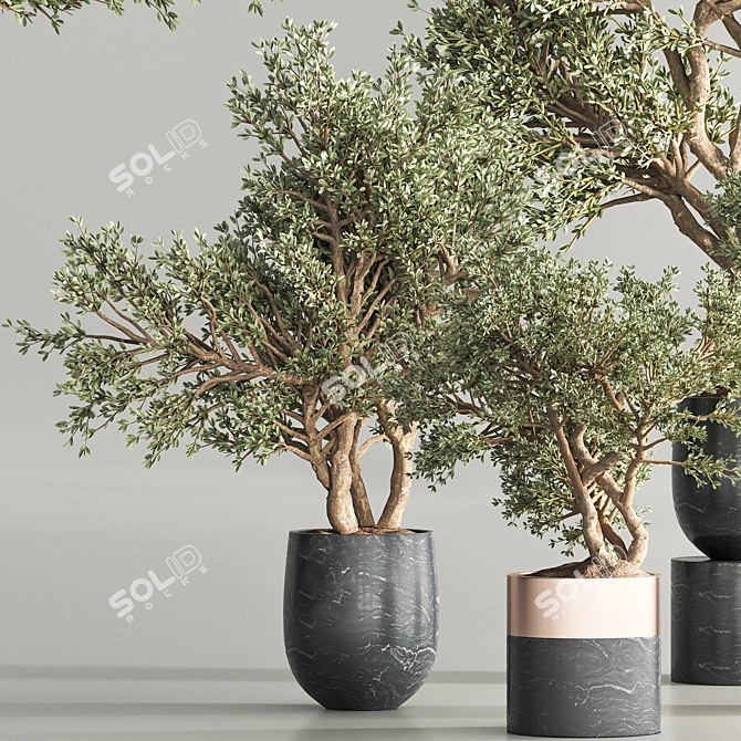 Vibrant Indoor Plant Collection 3D model image 4