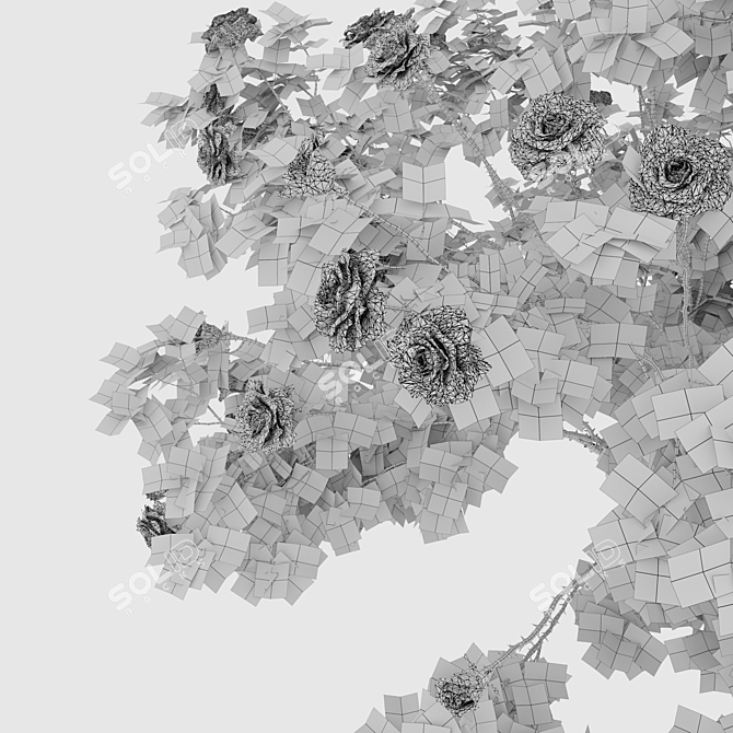 White Rose Bush 1.5m Height 3D model image 7