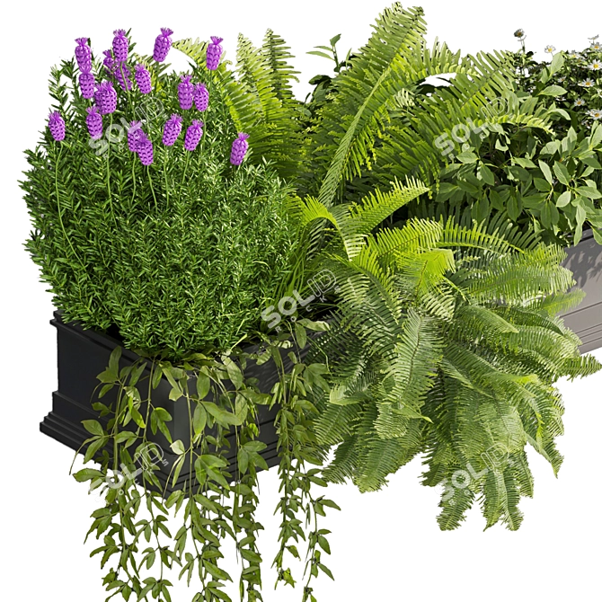 Premium Indoor Balcony Plant Collection 3D model image 2