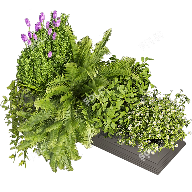 Premium Indoor Balcony Plant Collection 3D model image 3