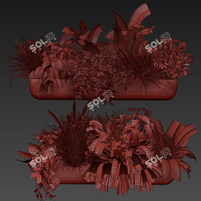 Quality Indoor Plant Collection 417 3D model image 6