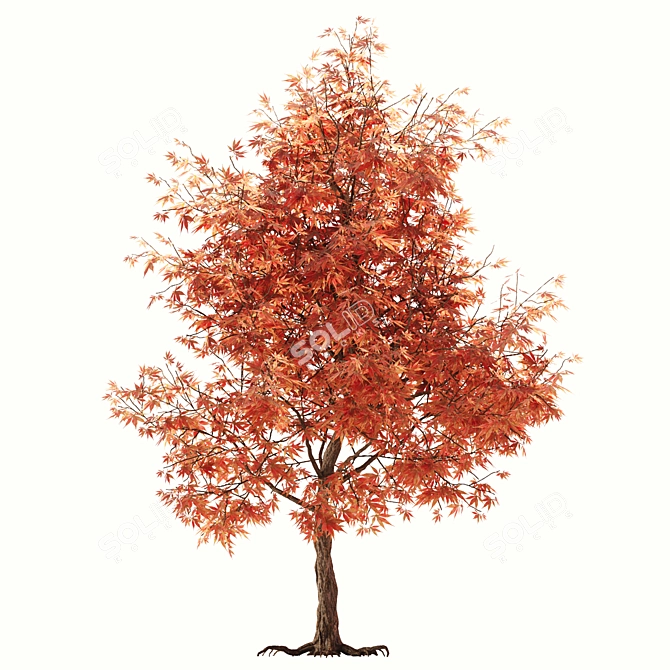 Rustic Maple Tree Decor 3D model image 2