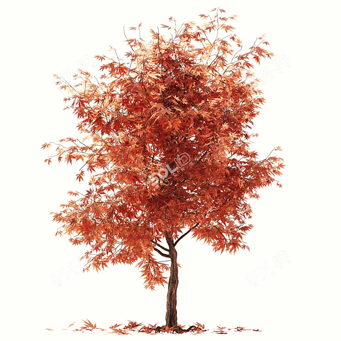 Rustic Maple Tree Decor 3D model image 3