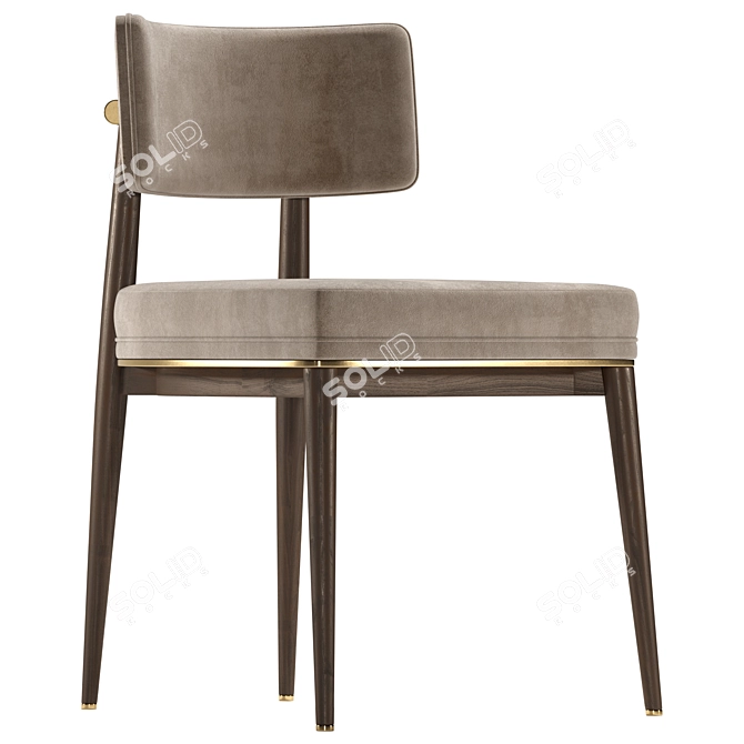 Modern Aster Frank Dining Chair 3D model image 1