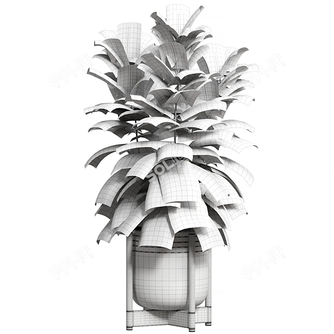 Premium Plant Collection 84 3D model image 2