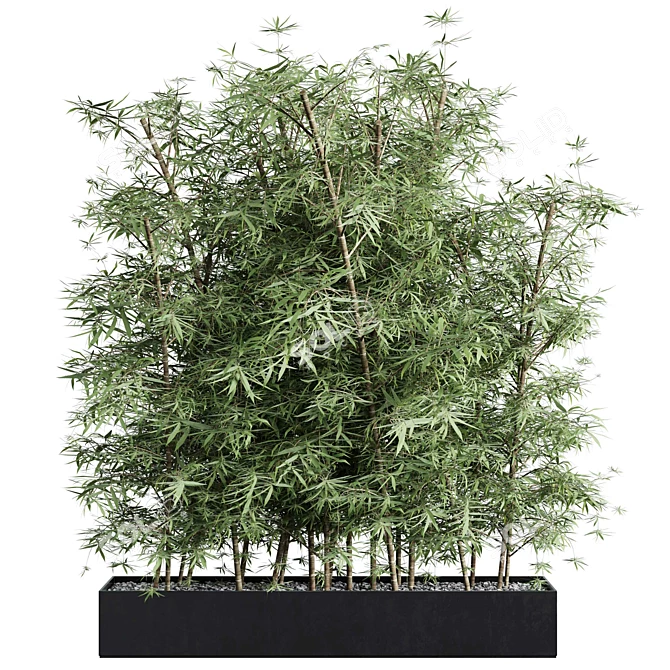 Bamboo Plants Box Set 320 3D model image 1