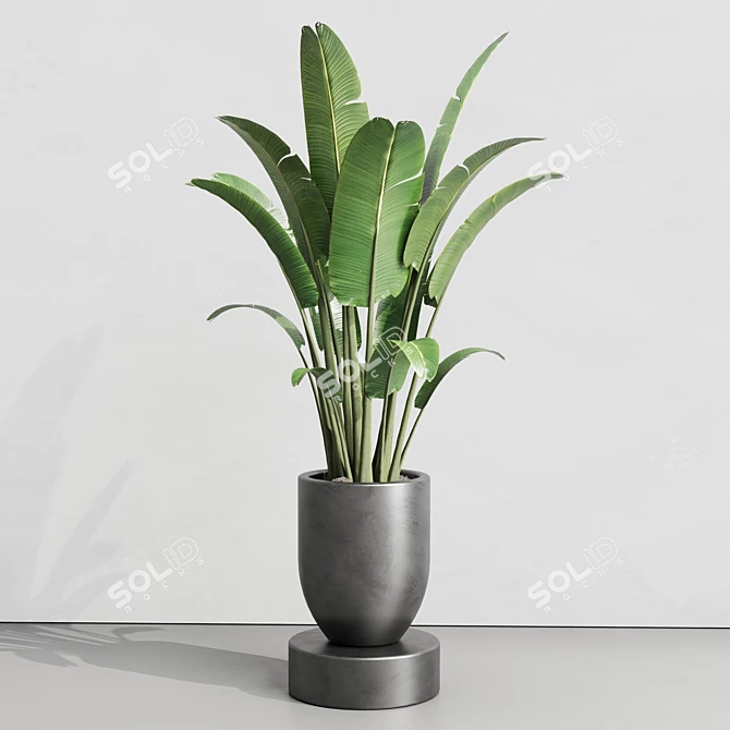 Urban Jungle Concrete Vase Plant 3D model image 3