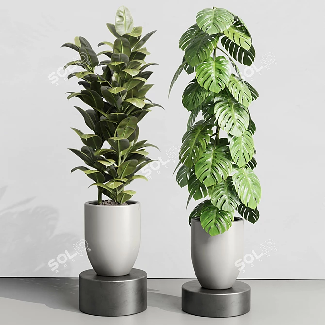 Urban Jungle Concrete Vase Plant 3D model image 4