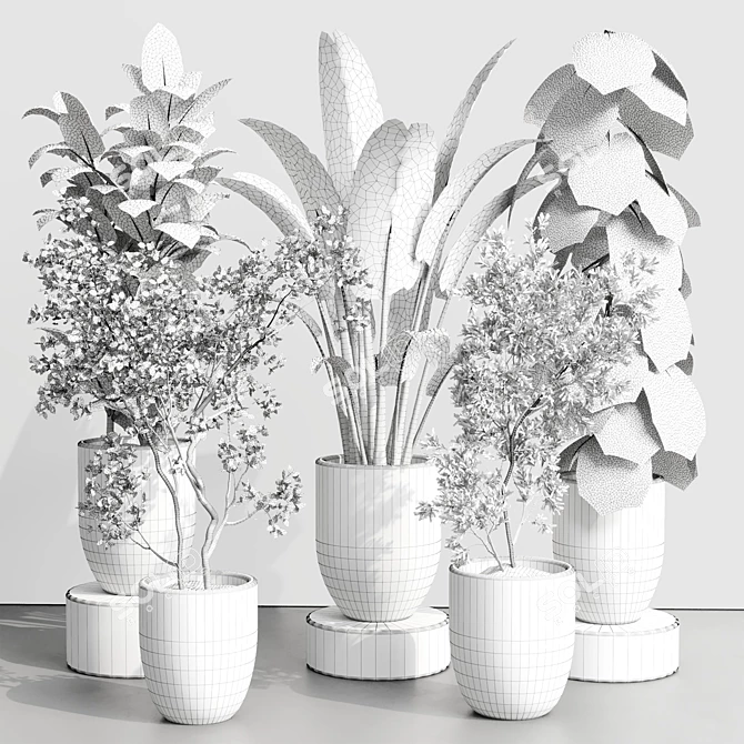 Urban Jungle Concrete Vase Plant 3D model image 5