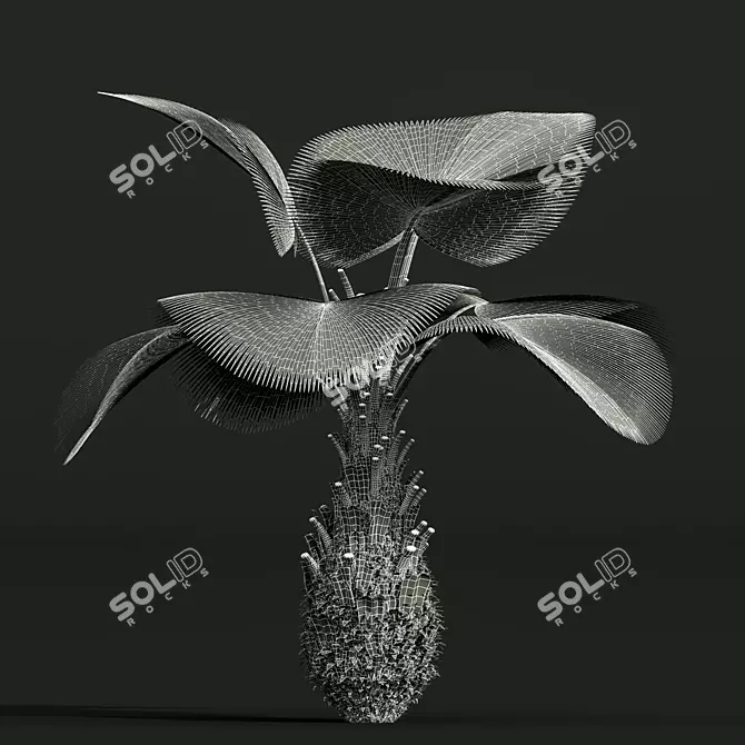 Tropical 3D Pritchardia Garden Tree 3D model image 7