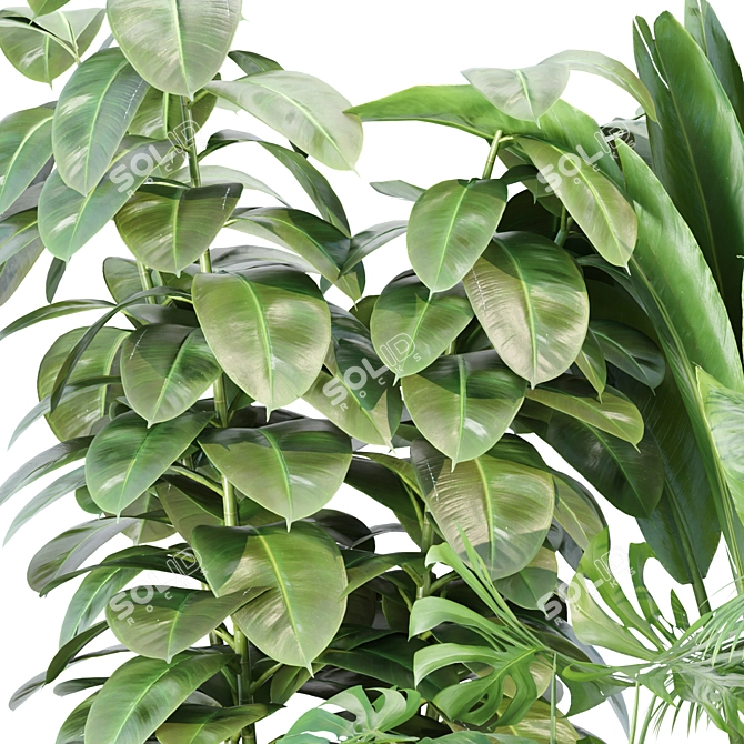 Exquisite Indoor Plants Collection Vol. 157 3D model image 2