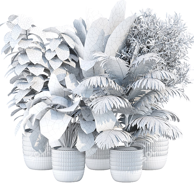 Exquisite Indoor Plants Collection Vol. 157 3D model image 6