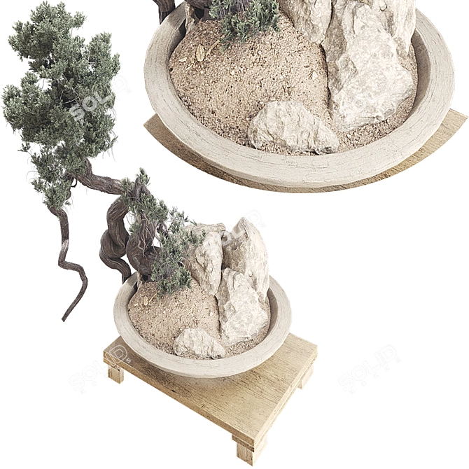 Modern Bonsai Tree 3D Model 3D model image 2