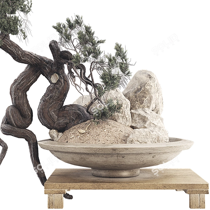 Modern Bonsai Tree 3D Model 3D model image 3