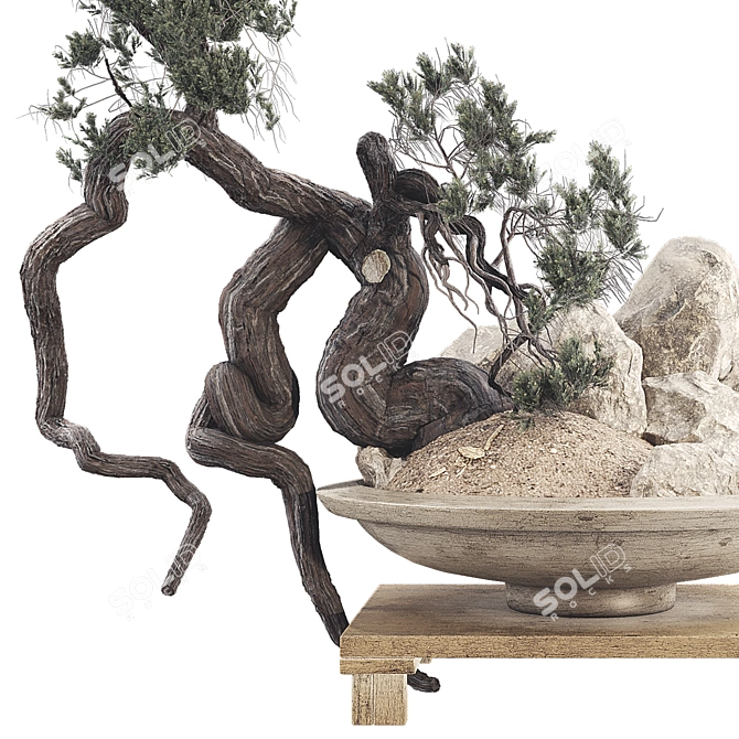 Modern Bonsai Tree 3D Model 3D model image 4