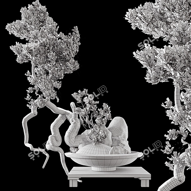 Modern Bonsai Tree 3D Model 3D model image 7